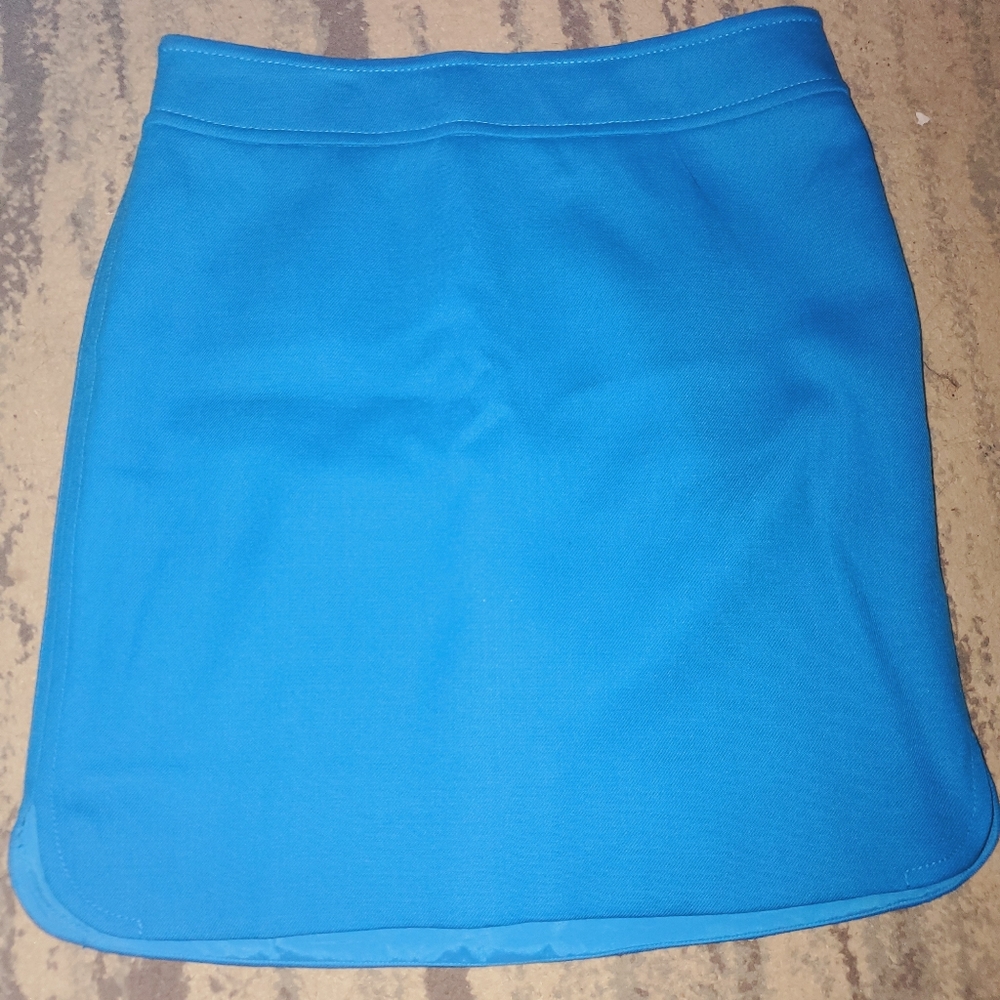 Ann Taylor skirt